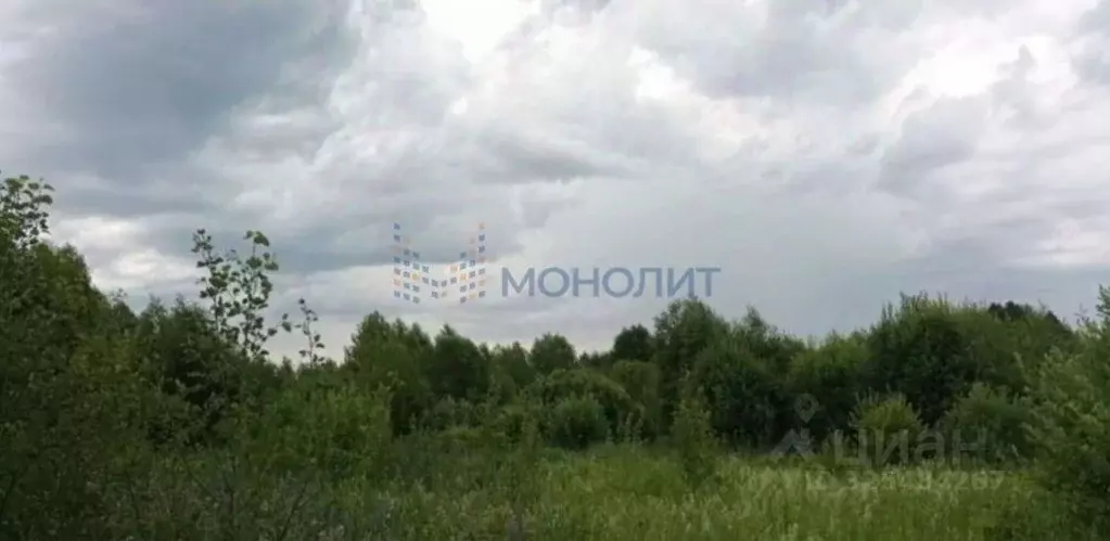 Участок в Нижегородская область, Богородский муниципальный округ, д. ... - Фото 1