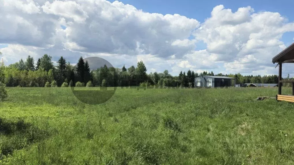 Участок в Ленинградская область, Приозерский район, Красноозерное ... - Фото 1