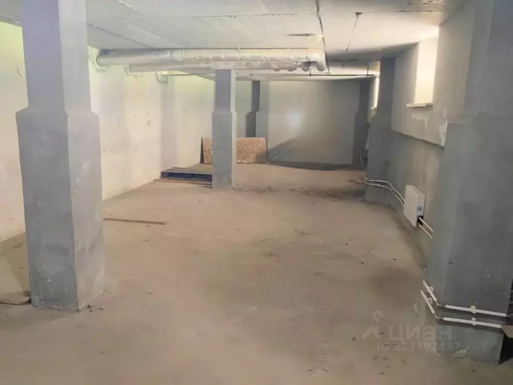 Помещение свободного назначения в Новосибирская область, Новосибирский ... - Фото 1