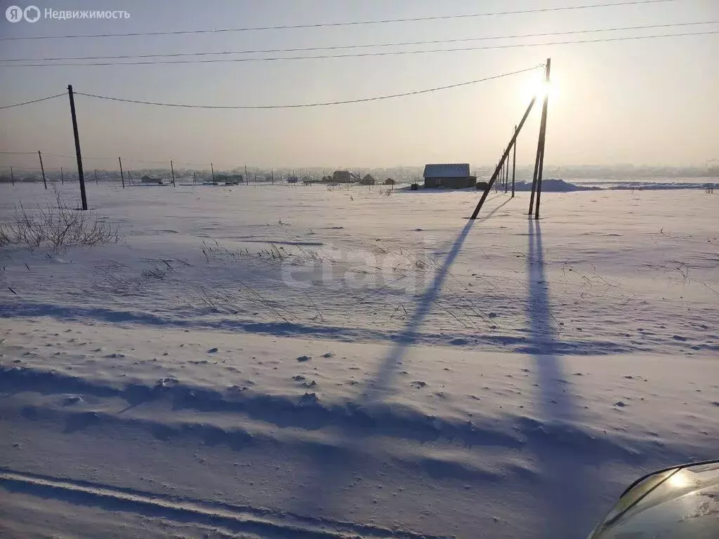 Участок в Новосибирская область, рабочий посёлок Коченёво, Заречная ... - Фото 1