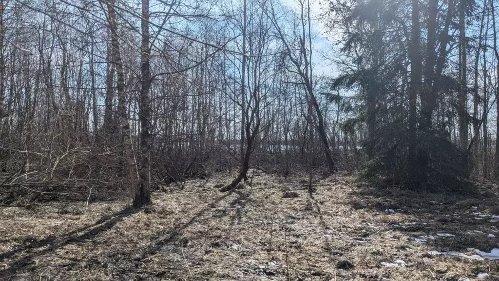 Участок в Новгородская область, Демянский муниципальный округ, д. ... - Фото 0