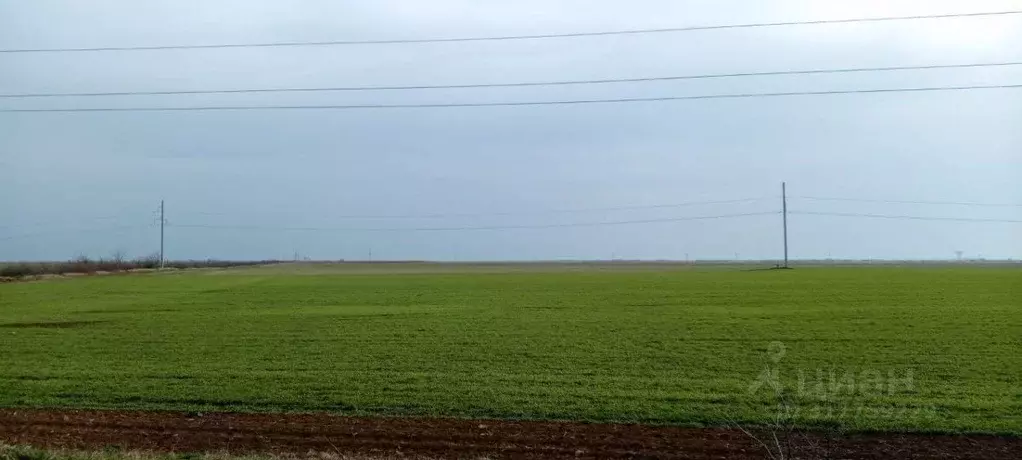 Участок в Крым, Сакский район, с. Молочное  (500.0 сот.) - Фото 1
