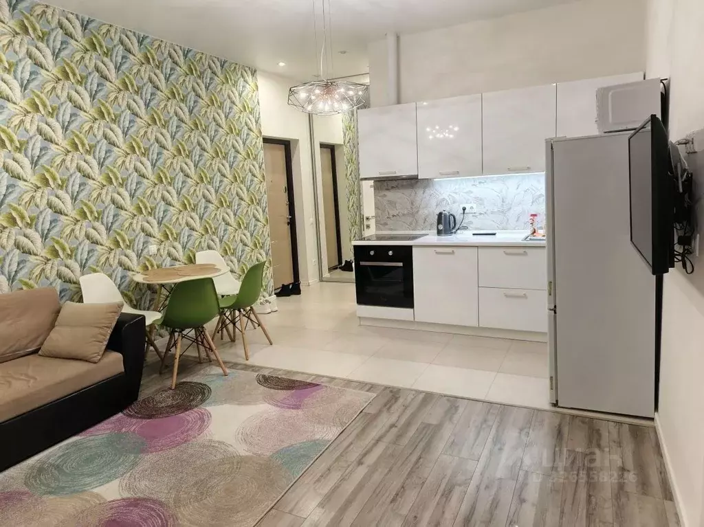 1-к кв. Краснодарский край, Сочи Виноградная ул., 2/3Б (55.0 м) - Фото 2