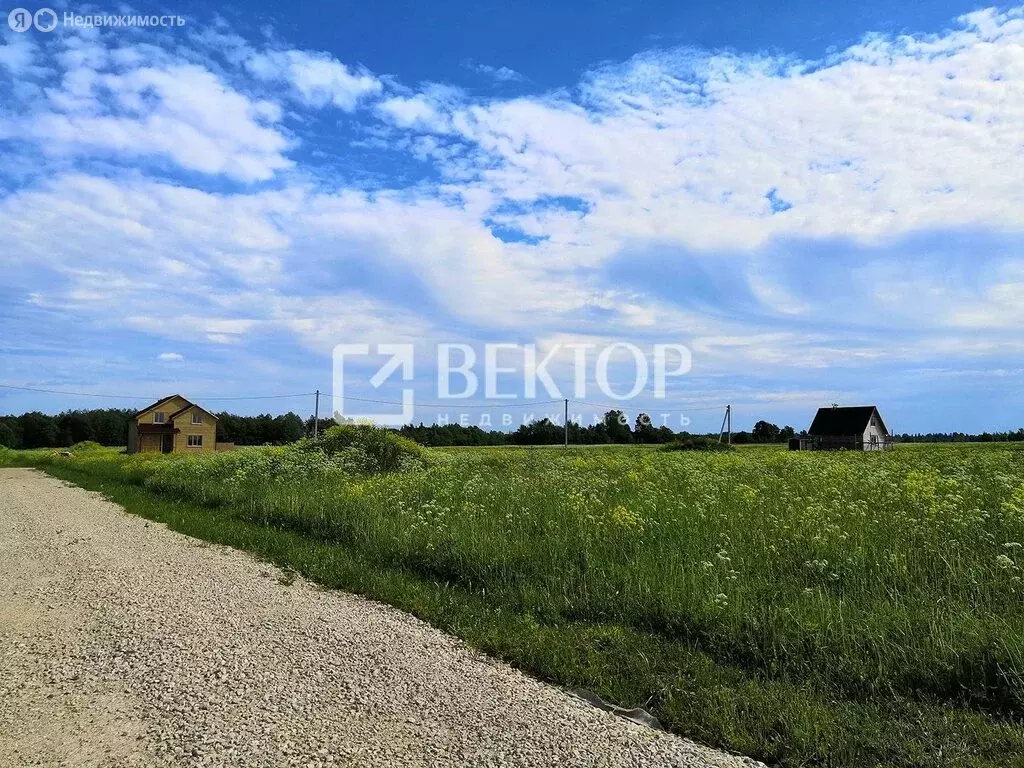 Участок в Кострома, Ситцевый проезд (11 м) - Фото 1