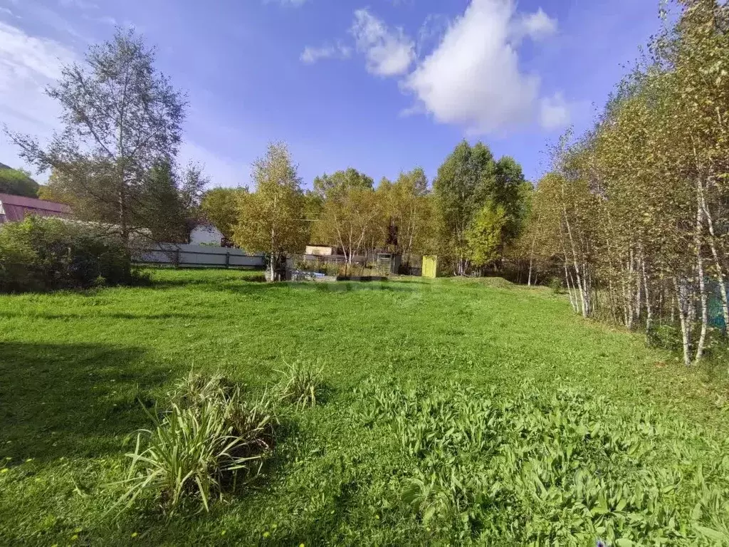 Участок в Камчатский край, Елизовский муниципальный округ, Пчелка ПО ... - Фото 2