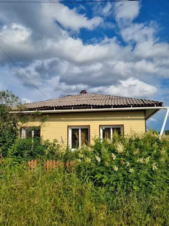 Дом в Свердловская область, Алапаевский район, с. Толмачево  (52 м) - Фото 0