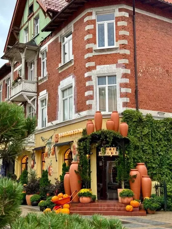 1-к кв. Калининградская область, Зеленоградск Курортный просп., 27 ... - Фото 0