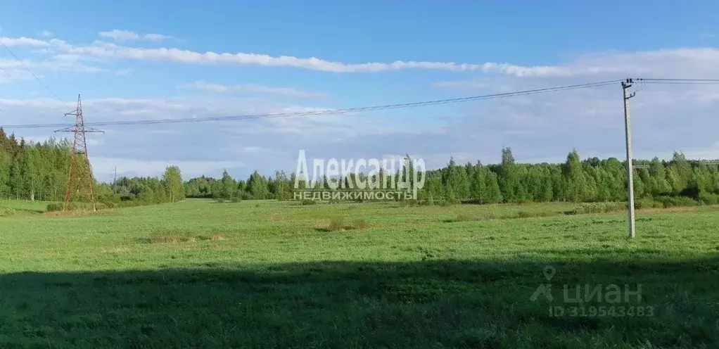 Участок в Ленинградская область, Выборг Промышленный мкр,  (320.0 ... - Фото 0