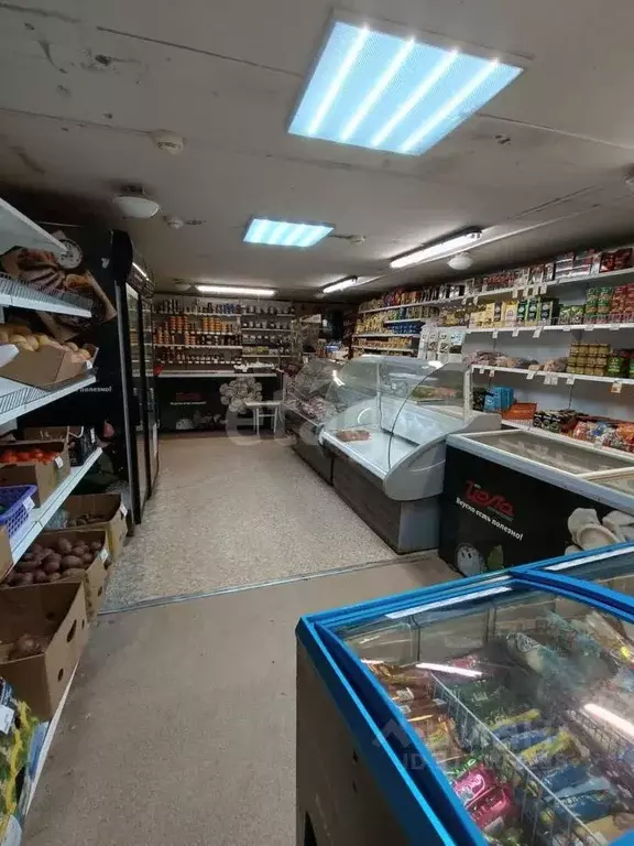 Помещение свободного назначения в Коми, Ухта пос. Ветлосян, пер. ... - Фото 1