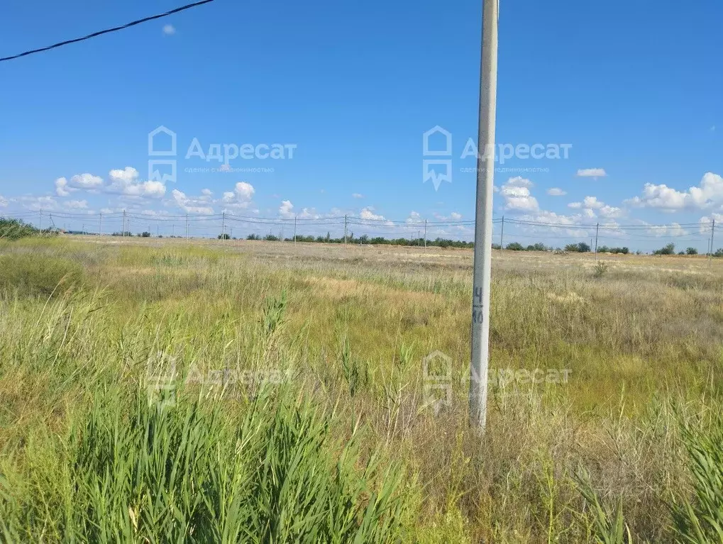 Участок в Волгоградская область, Волжский ул. Имени Щорса (6.6 сот.) - Фото 2