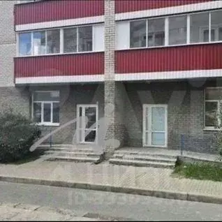 Помещение свободного назначения в Алтайский край, Барнаул ул. Гущина, ... - Фото 2