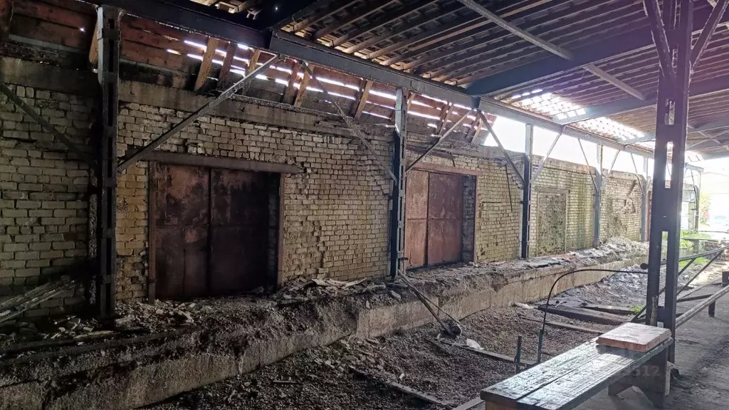 Помещение свободного назначения в Пермский край, Березники ул. Карла ... - Фото 1