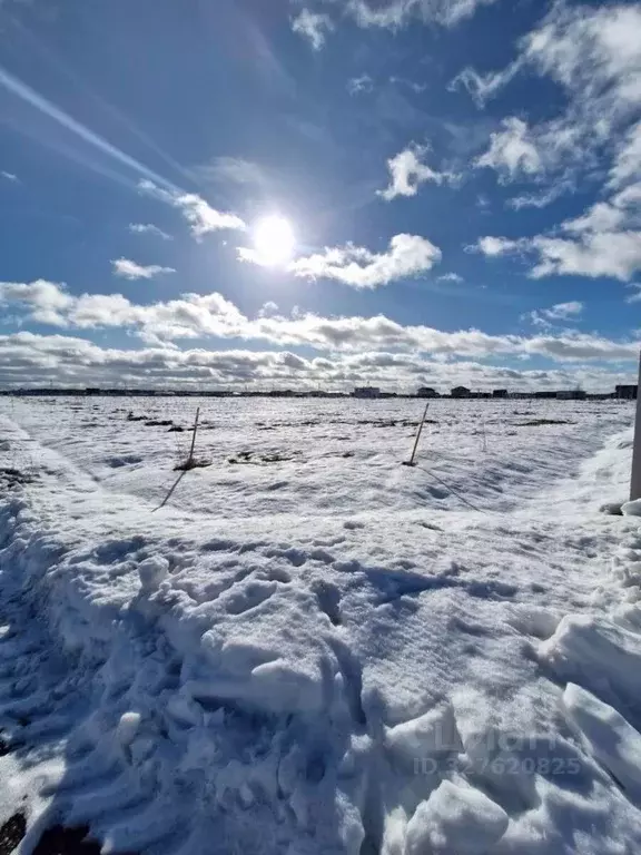 Участок в Ленинградская область, Тосненский район, Федоровское ... - Фото 2
