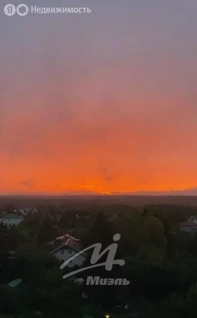 2-комнатная квартира: Лайково, 59 (38.7 м) - Фото 2