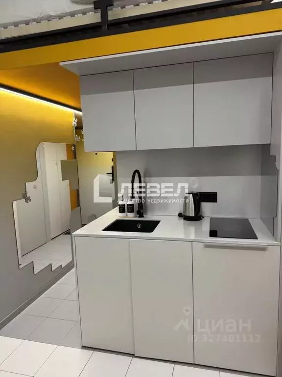 Студия Москва Электролитный проезд, 5Б (16.2 м) - Фото 2