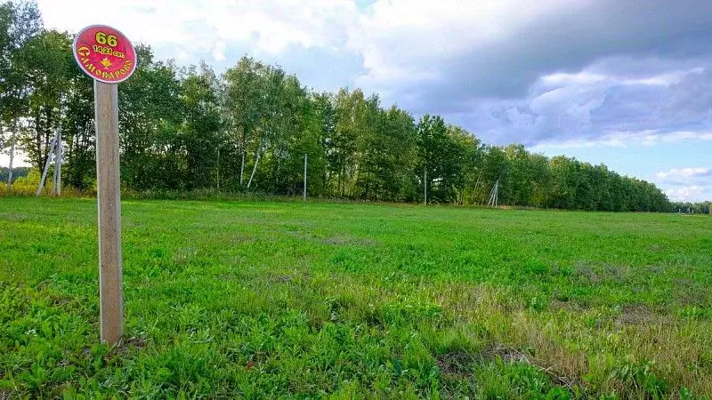 Участок в Тульская область, Заокский район, Демидовское муниципальное ... - Фото 2