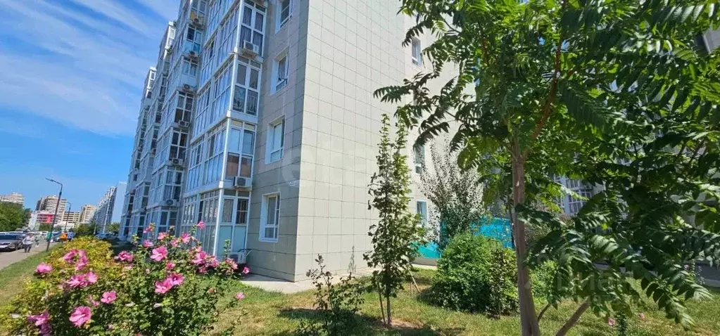 Помещение свободного назначения в Краснодарский край, Анапа ул. ... - Фото 1