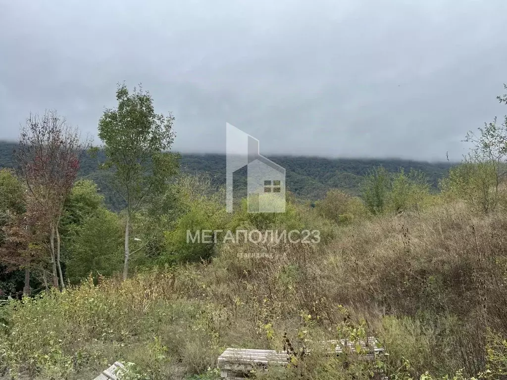 Участок в Краснодарский край, Геленджик городской округ, с. Адербиевка ... - Фото 2