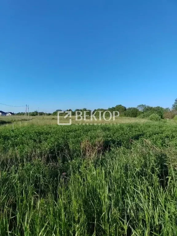 Участок в Костромская область, Кострома проезд Ситцевый (10.0 сот.) - Фото 0