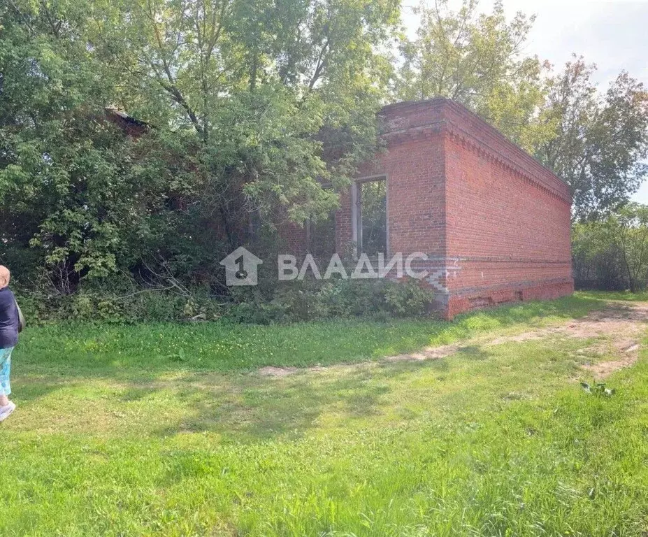 Участок в Нижегородская область, Богородский муниципальный округ, д. ... - Фото 2