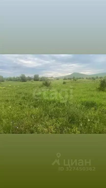 Участок в Алтай, Майминский район, с. Подгорное ул. Заречная (6.0 ... - Фото 1