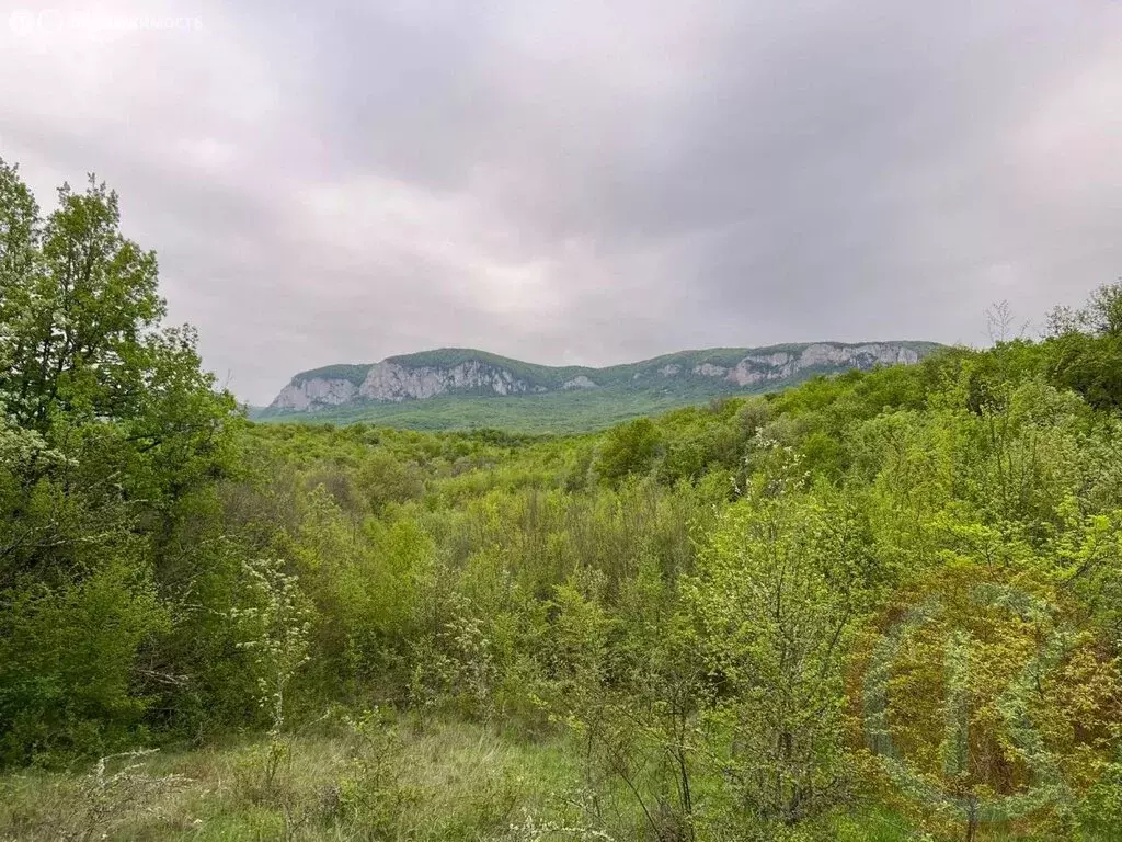 Участок в Бахчисарайский район, Голубинское сельское поселение, село ... - Фото 0