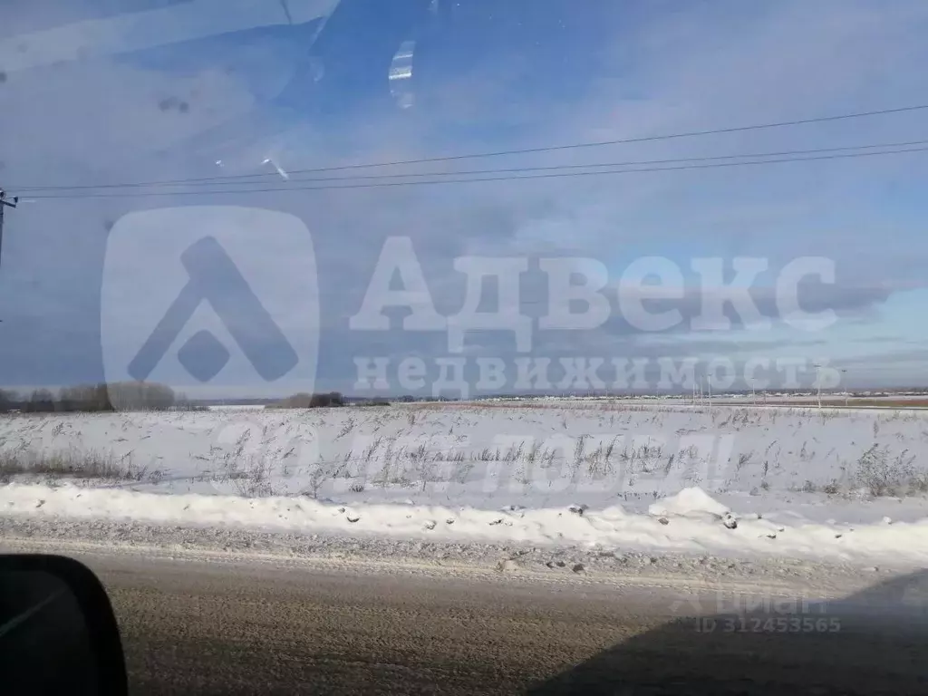 Участок в Тюменская область, Тюменский район, Новокаменский кп ул. ... - Фото 2