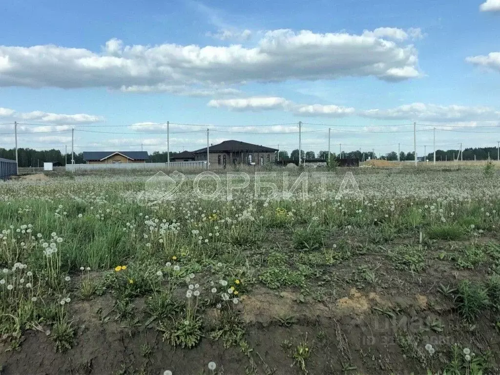 Участок в Тюменская область, Тюменский район, д. Малиновка  (8.0 сот.) - Фото 0