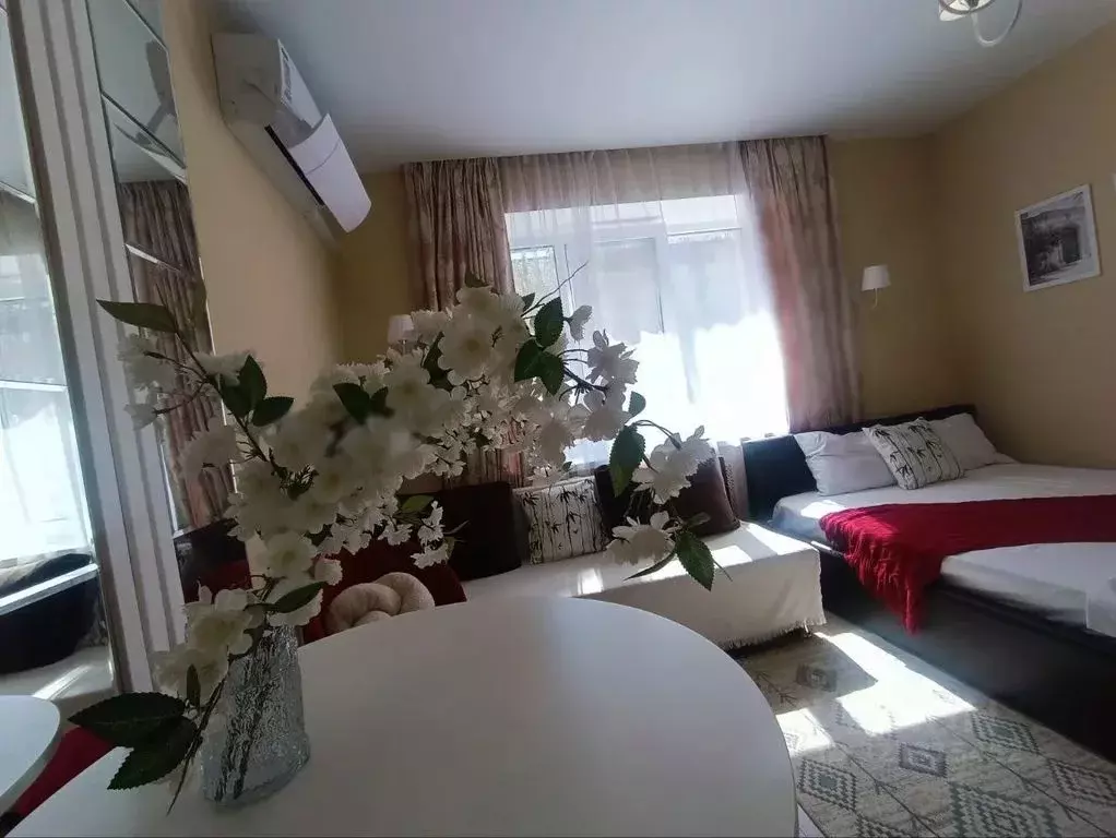 Студия Крым, Феодосия ул. Федько, 111 (20.0 м) - Фото 2