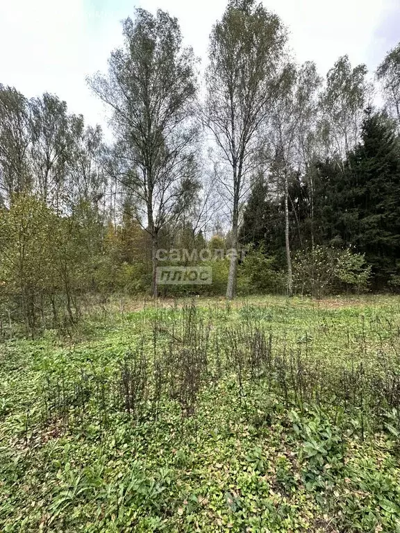 Участок в Московская область, Раменский муниципальный округ, СНТ ... - Фото 2