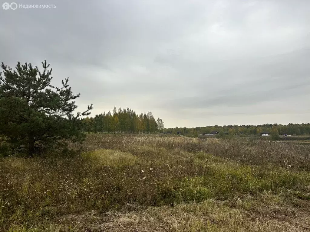 Участок в Глебово, КП Алешкина роща (12 м) - Фото 1