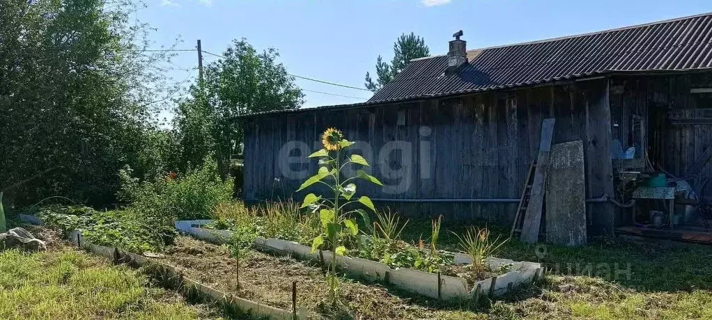 Дом в Свердловская область, Верхнесалдинский муниципальный округ, д. ... - Фото 2