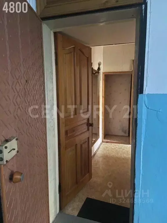 1-к кв. Севастополь ул. Глухова, 5 (30.6 м) - Фото 2