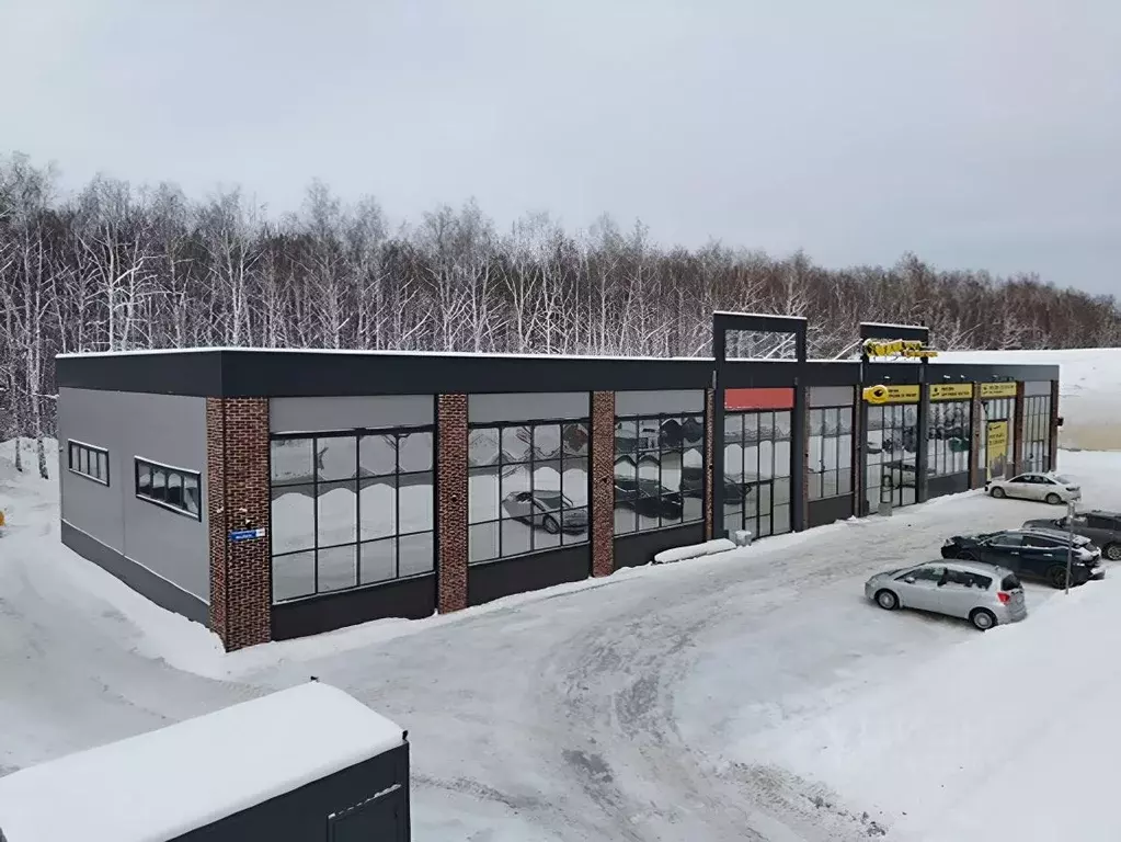 Помещение свободного назначения в Алтайский край, Барнаул ул. ... - Фото 1