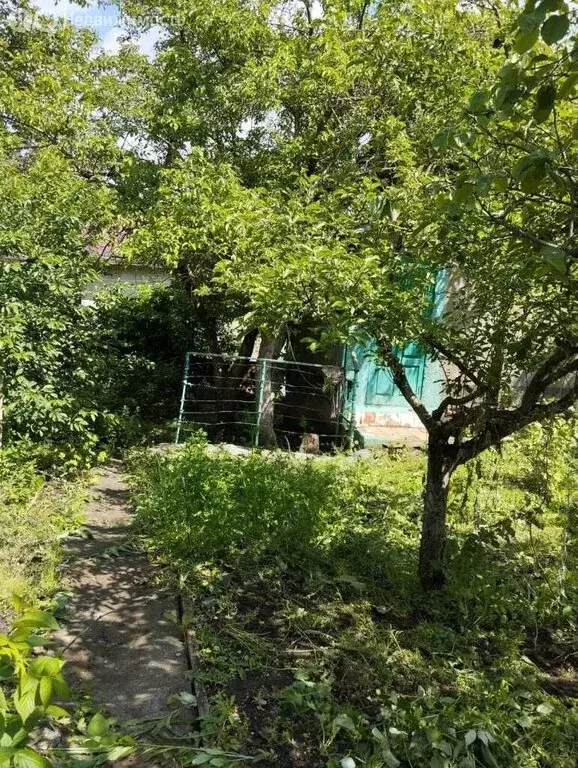 Участок в Ставропольский край, СНТ Весна-88 (4 м) - Фото 1