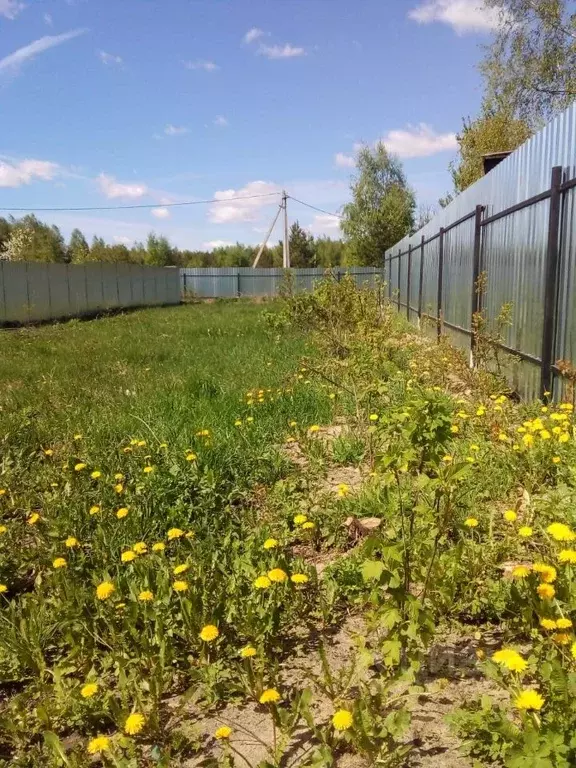 Участок в Московская область, Орехово-Зуевский городской округ, д. ... - Фото 0