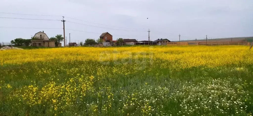 Участок в Крым, Феодосия Колос СПК, ул. Камышовая (6.0 сот.) - Фото 0
