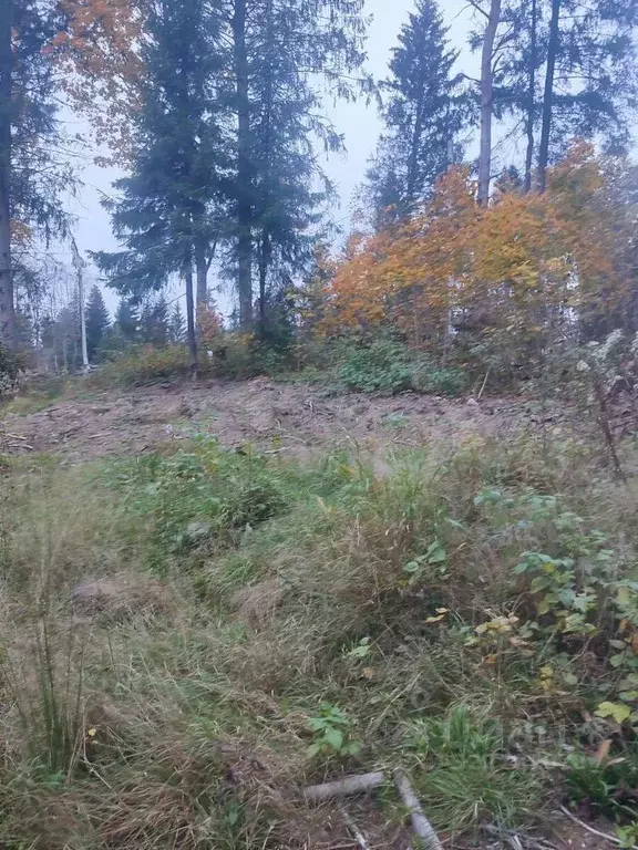 Участок в Ленинградская область, Всеволожский район, Агалатовское ... - Фото 0