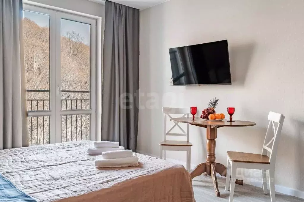 Студия Краснодарский край, Сочи ул. Искры, 88к3 (27.9 м) - Фото 2