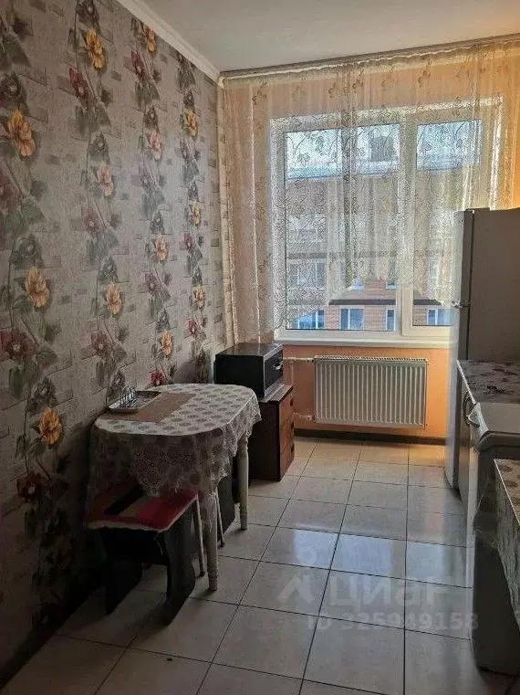 1-к кв. Калужская область, Боровский муниципальный округ, д. Кабицыно, ... - Фото 1