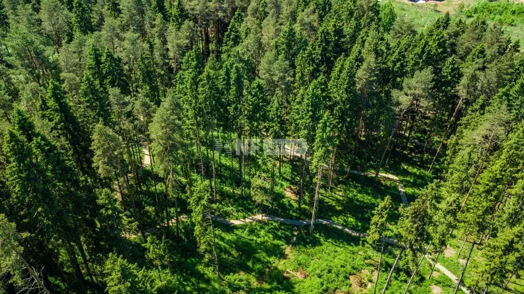 Участок в Московская область, Истра муниципальный округ, д. Чесноково, ... - Фото 1