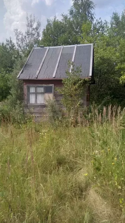 Участок 12 сот. (ИЖС) - Фото 1