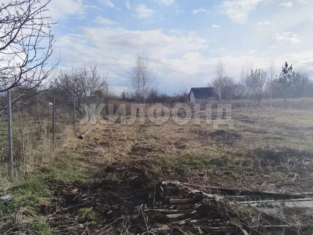 Участок в Брянская область, Брянский район, Снежское с/пос, пос. ... - Фото 2