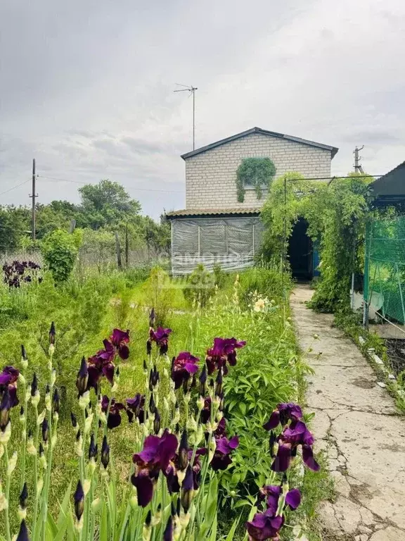 Дом в Волгоградская область, Волгоград Березка СНТ, ул. Медицинская ... - Фото 2
