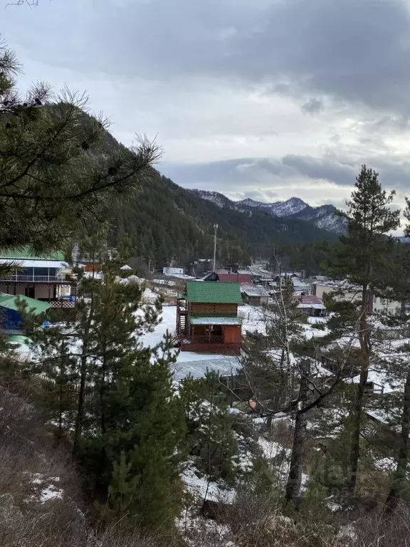 Дом в Алтай, Майминский район, с. Усть-Муны пер. Зеленый Клин, 2 (200 ... - Фото 2