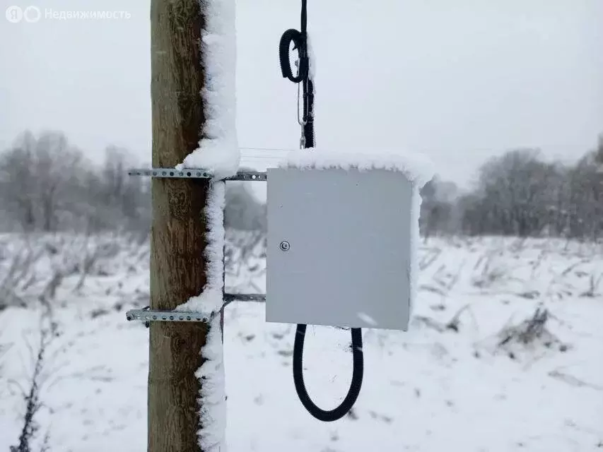 Участок в Волосовский район, Большеврудское сельское поселение, ... - Фото 1