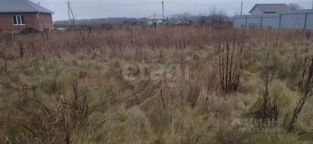 Участок в Курская область, Курский район, Рышковский сельсовет, ... - Фото 1