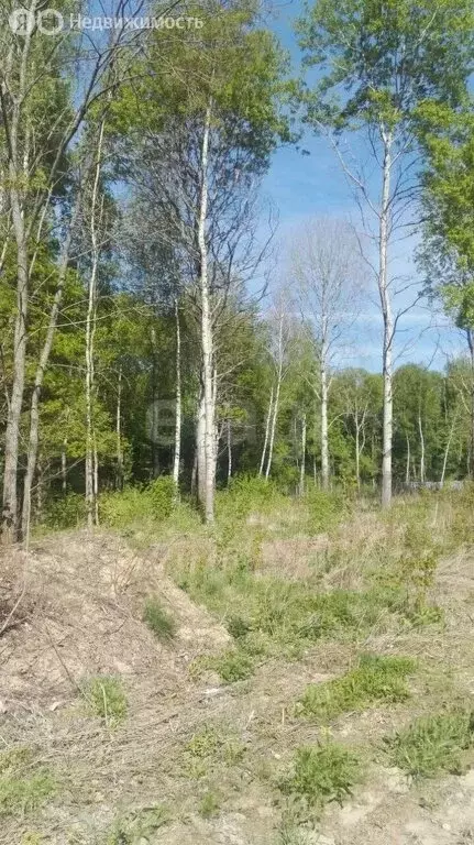 Участок в Недельное, село Недельное (14.66 м) - Фото 0