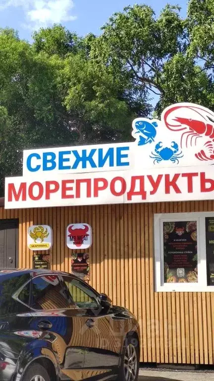 Дом в Приморский край, Владивосток Санаторная мкр, ул. Пятая, 12А (55 ... - Фото 1