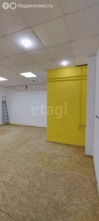 Помещение свободного назначения (38.7 м) - Фото 1